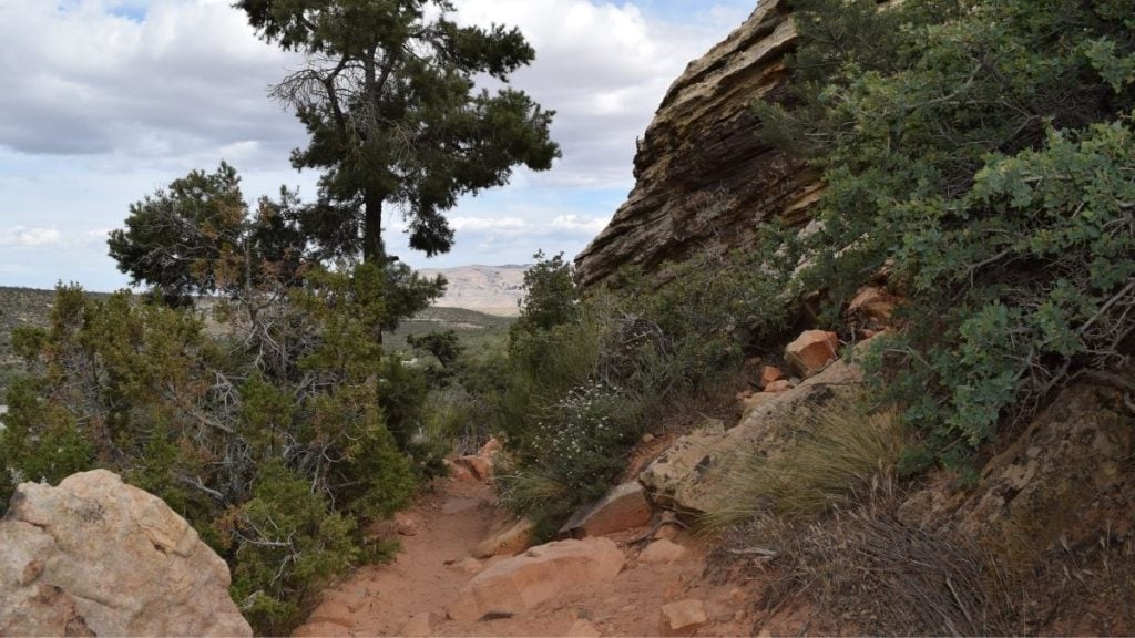 Lost Creek and Children's Discovery Trail, Las Vegas, Nevada