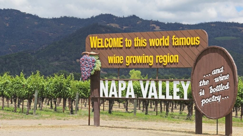 The best day trips from San Francisco. In photo: Napa Valley, Napa, California