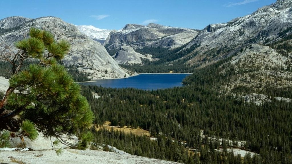 Tenaya Lake, Yosemite National Park, California