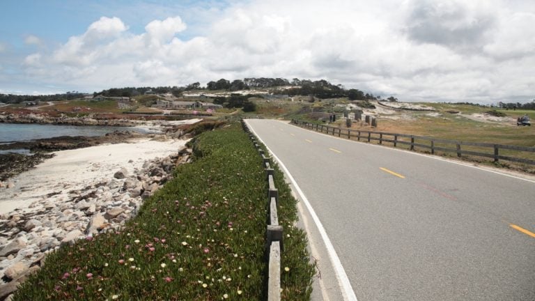 The best dog-friendly getaways in the US