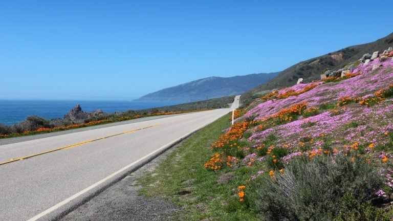 How to plan an unforgettable spring break trip
