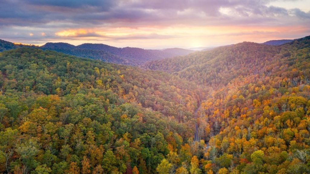 Pisgah National Forest, Asheville, North Carolina