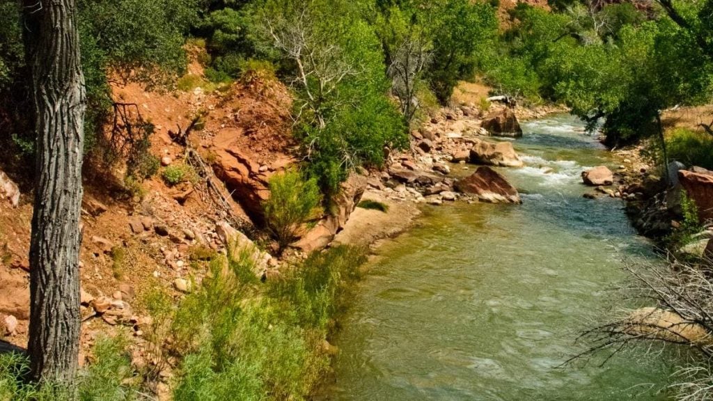 Virgin River, Springdale, Utah