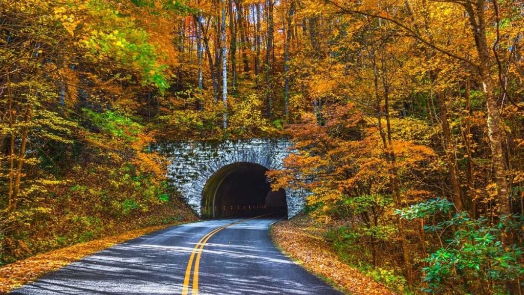 Blue Ridge Parkway, Asheville, North Carolina
