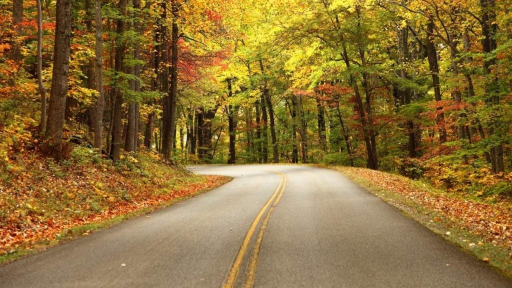 Blue Ridge Parkway, Roanoke, Virginia
