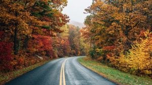 The best fall foliage scenic drives in the US