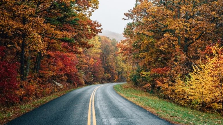 The best fall foliage scenic drives in the US