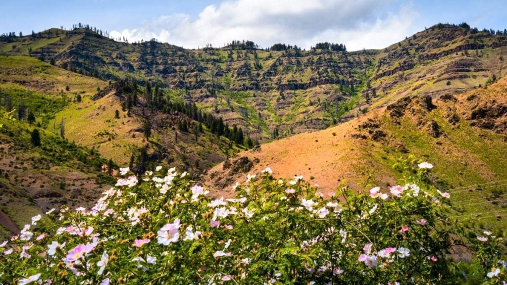 Hells Canyon National Recreation Area, Riggins, Idaho