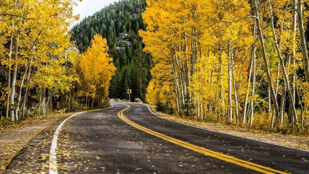 Independence Pass, Aspen, Colorado