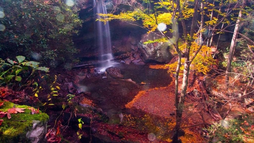 Ohiopyle State Park, Ohiopyle, Pennsylvania