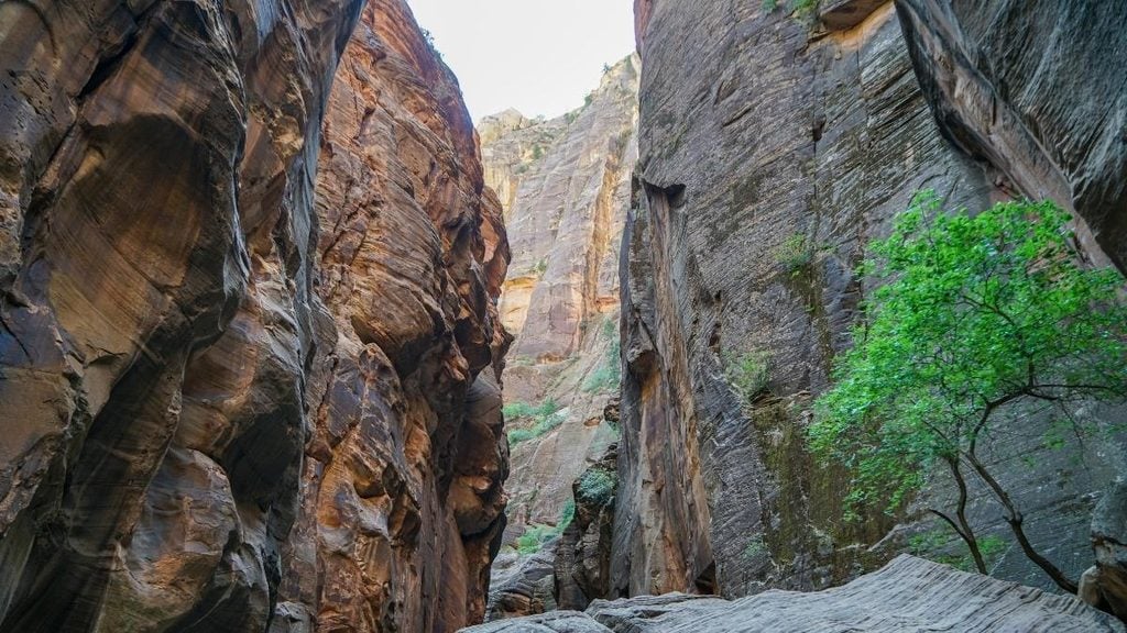 Zion Narrows, Springdale, Utah
