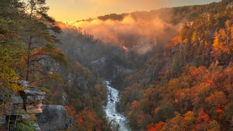The best day trips from Atlanta