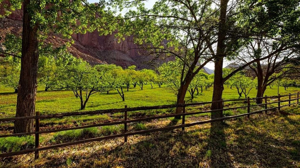 Fruita Rural Historic District, Torrey, Utah