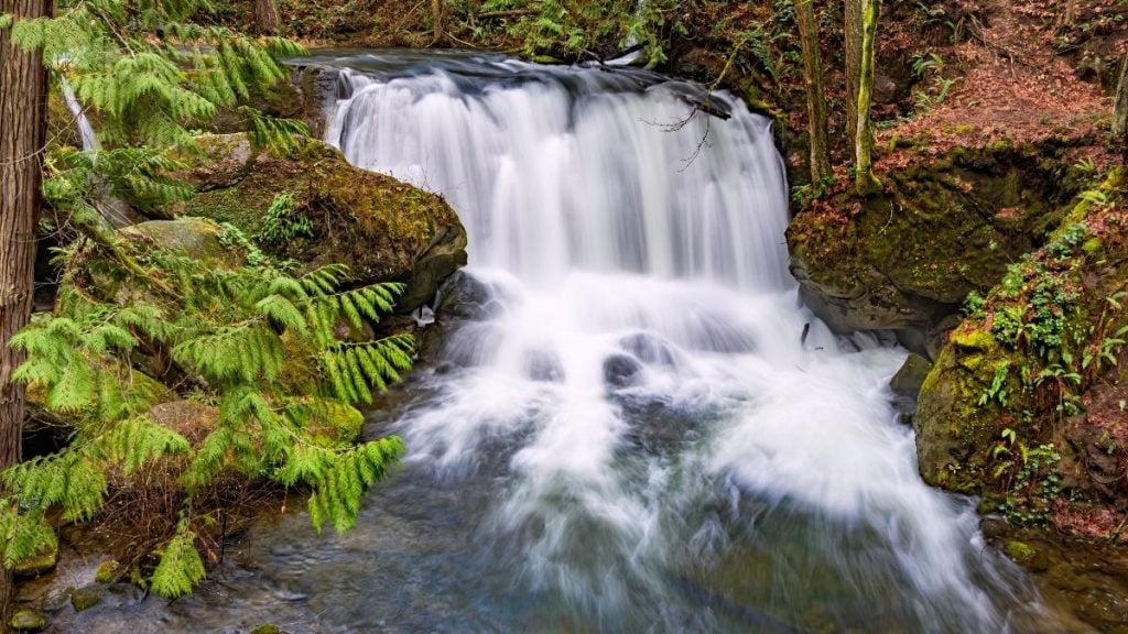 Whatcom Falls Park, Bellingham, Washington
