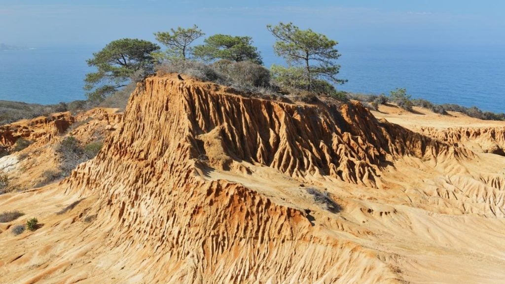 Torrey Pines State Natural Reserve, San Diego, California