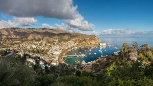 How to plan a Catalina Island day trip: Your complete guide
