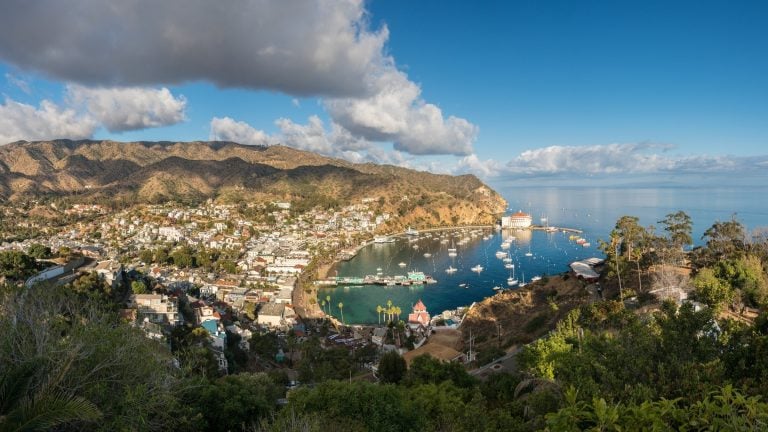 How to plan a Catalina Island day trip: Your complete guide
