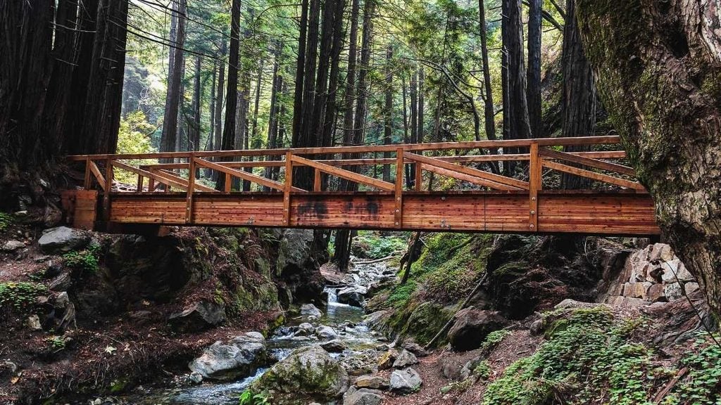 Limekiln State Park, Big Sur, California