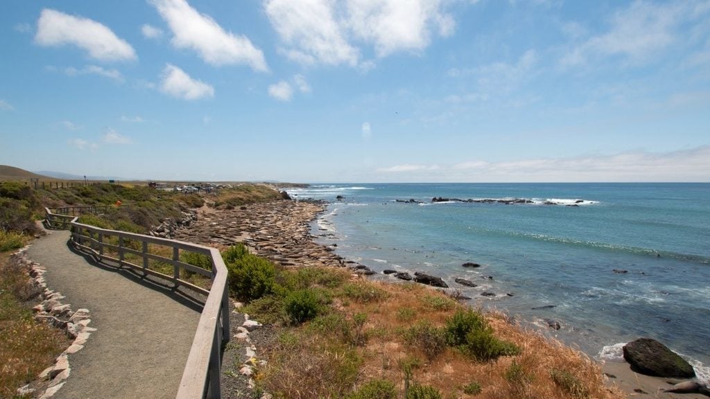Piedras Blancas Elephant Seal Rookery, San Simeon, California